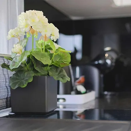 I Penthouse 1 Mit Whirlpool & Dachterrasse